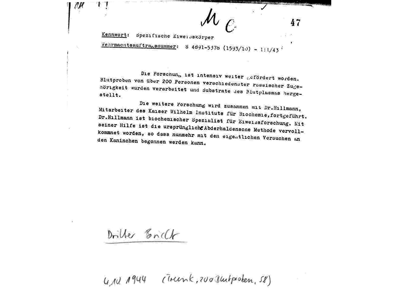Dritter Bericht von Verschuer an die Notgemeinschaft, Oktober 1944