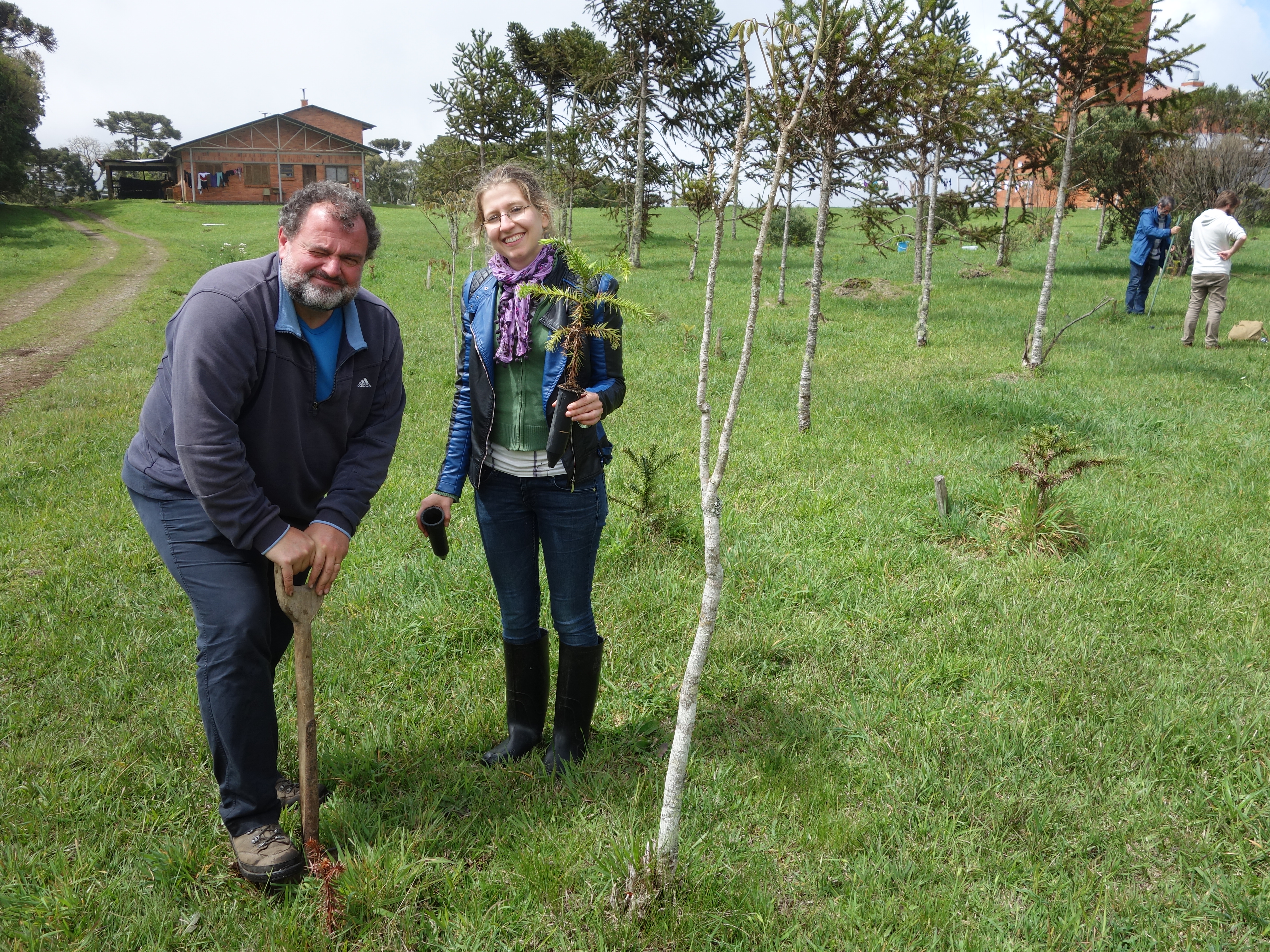 Prof. Potthast (Universidad de Tübingen) e Ims Oelkrug plantando una muda de Araucaria en la reserva Pró-Mata