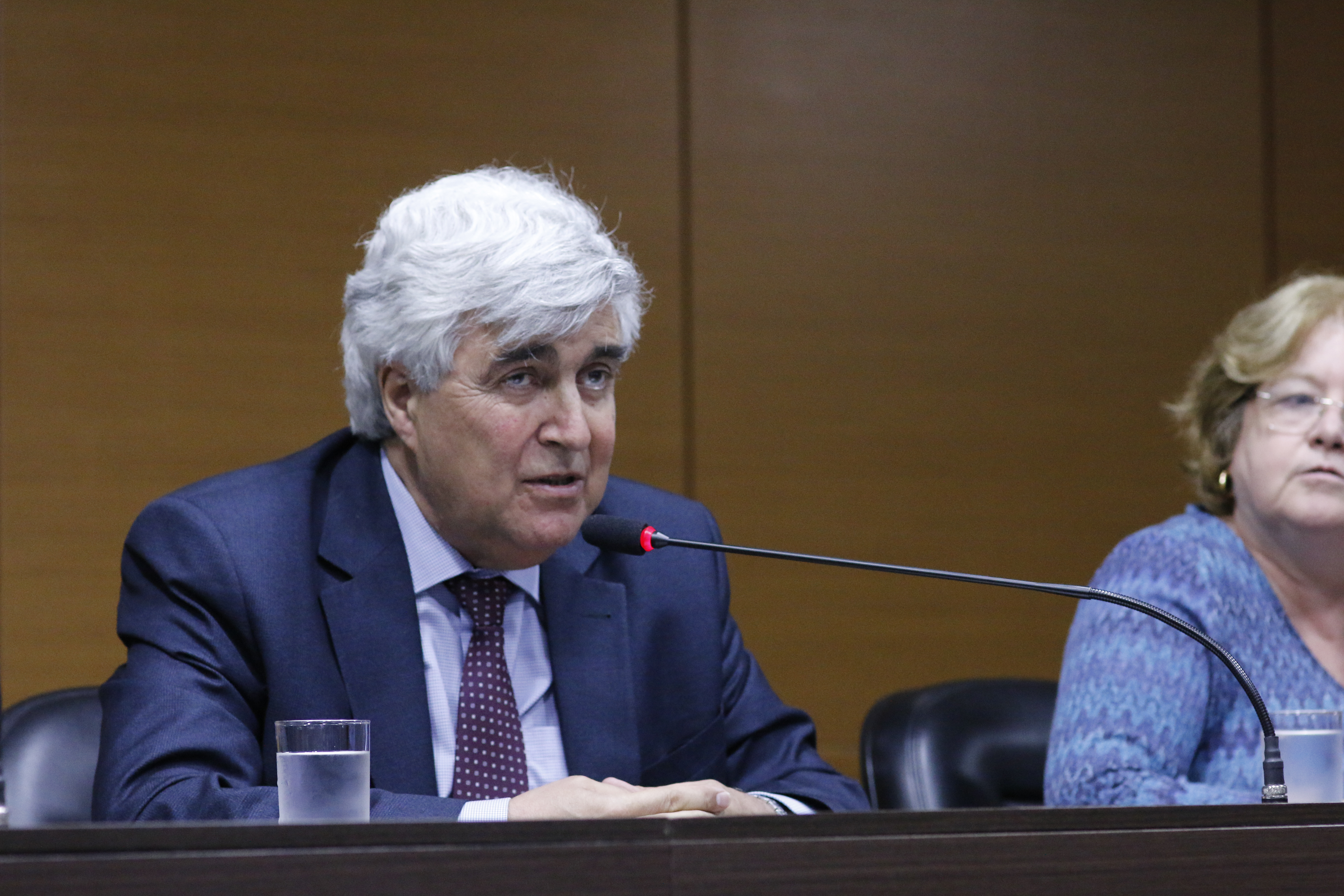 Abílio Baeta Neves, presidente de la Capes, le presentó al público el proyecto de creación de un fondo privado para el financiamiento de investigación