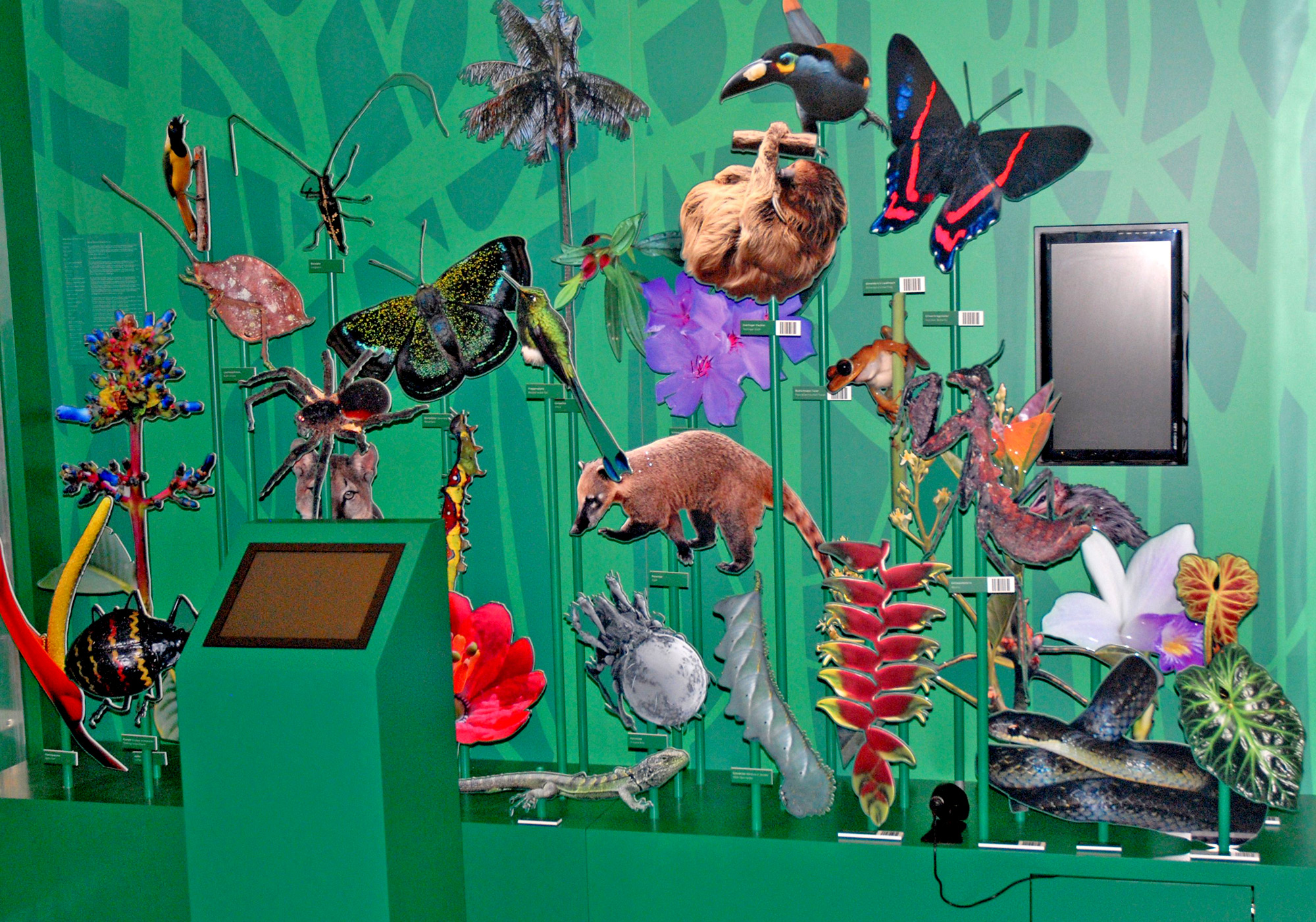 …dreidimensionalen “Wimmelbildern“, die zum Entdecken viele Tier- und Pflanzenarten einladen…