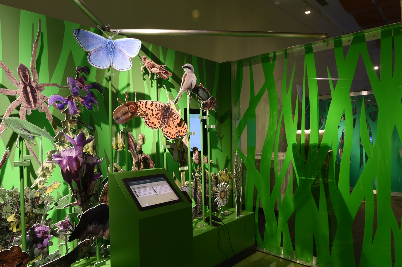 Die Ausstellung zeigt die Vielfalt der Tier- und Pflanzenarten