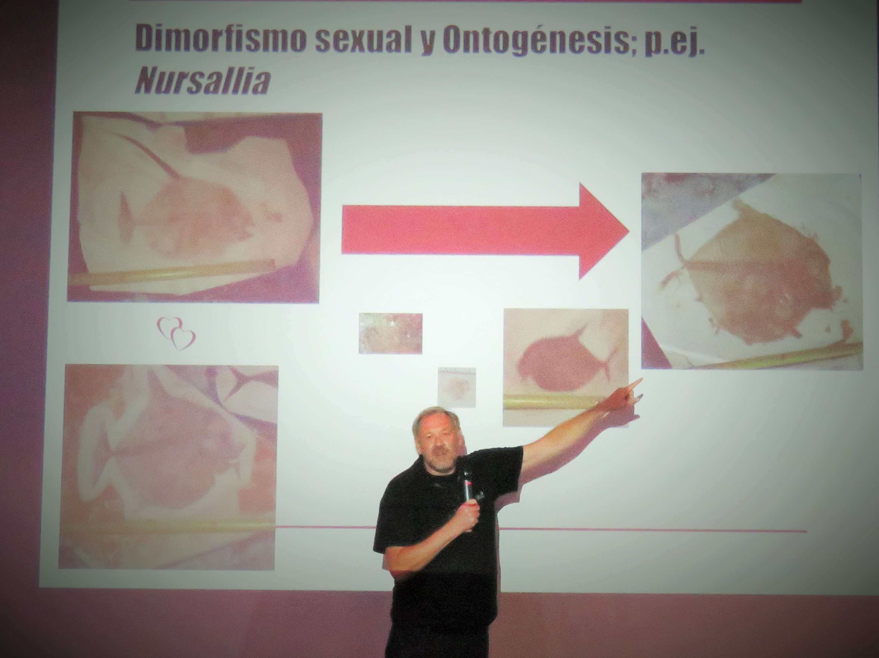 Wolfgang Stinnesbeck presentando su trabajo paleontológico en fósiles