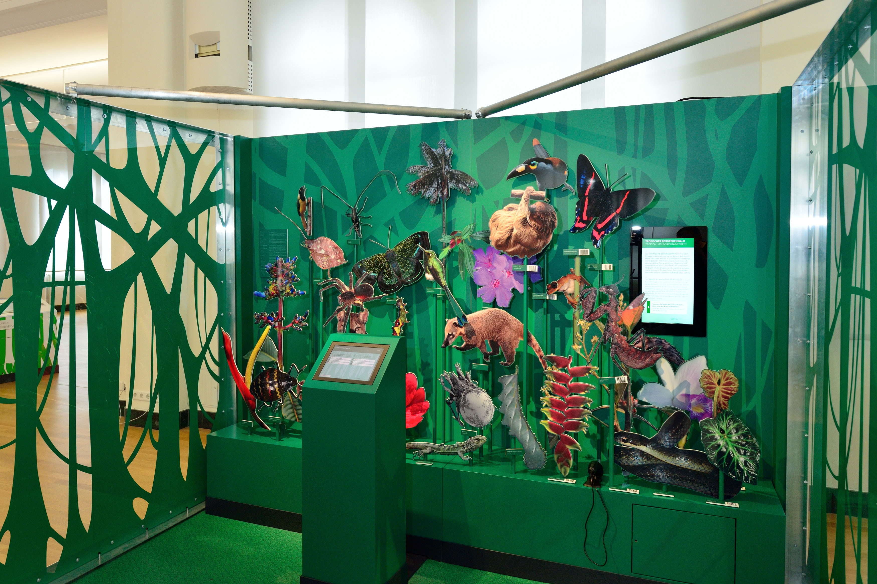 Exposição "VIELFALT ZÄHLT! - Uma Expedição através da Biodiversidade" - Diversidade colorida: O habitat florestal está crescendo.