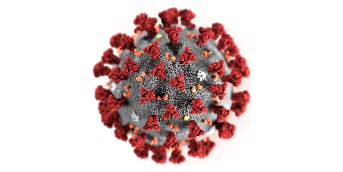 Illustration of the ultrastructure of 2019-nCoV, showing the corona-like arrangement of the spikes