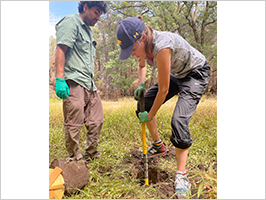 In search of Borgs: taking soil samples