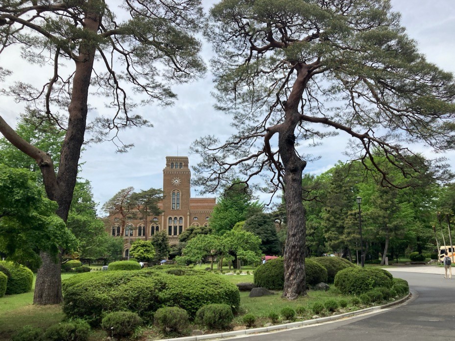 大学の建物と大きいな松の木