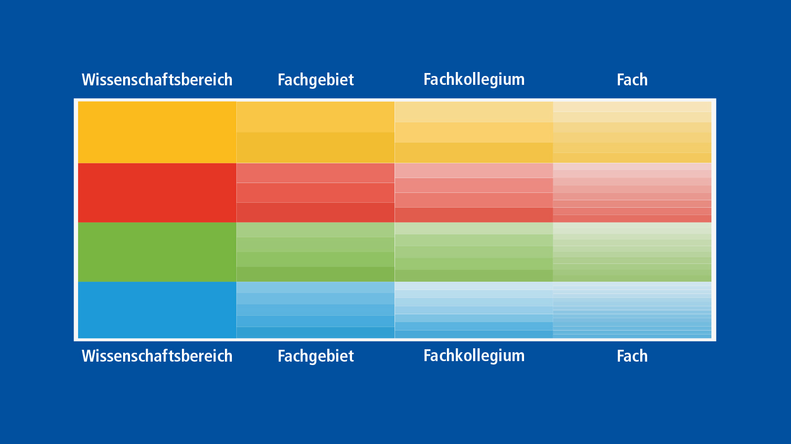 Illustration: Die Differenzierung der Fächerstruktur der DFG