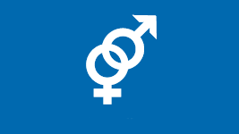 Schmuckbild Icon Chancengleichheit