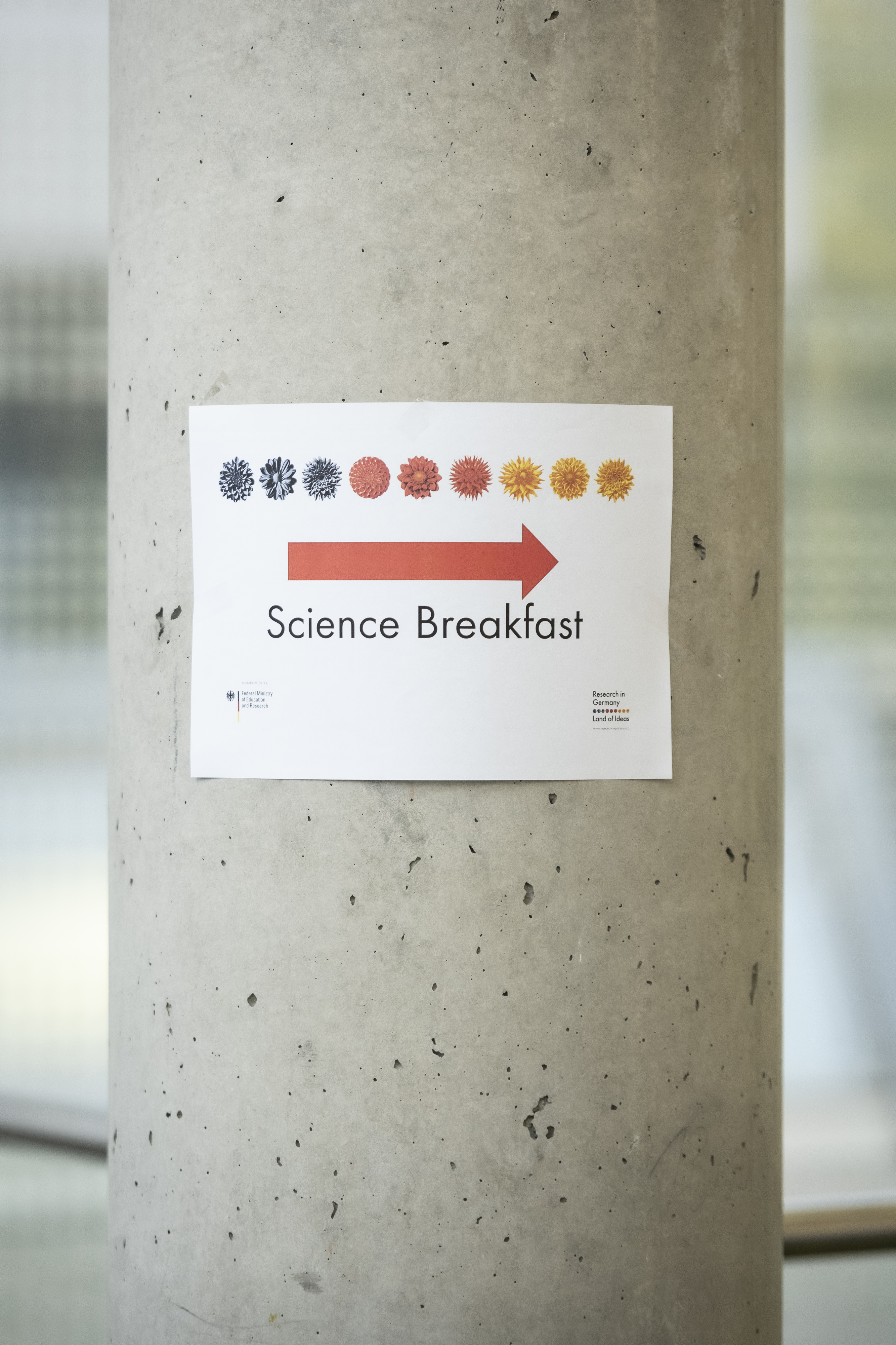 “Research in Germany“ lädt zum Frühstück ein
