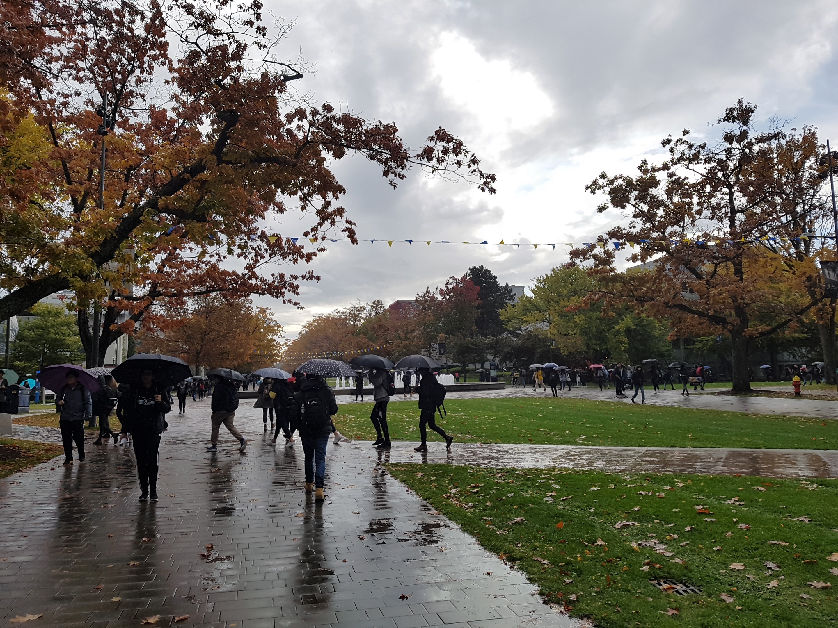 UBC Campus im Regen