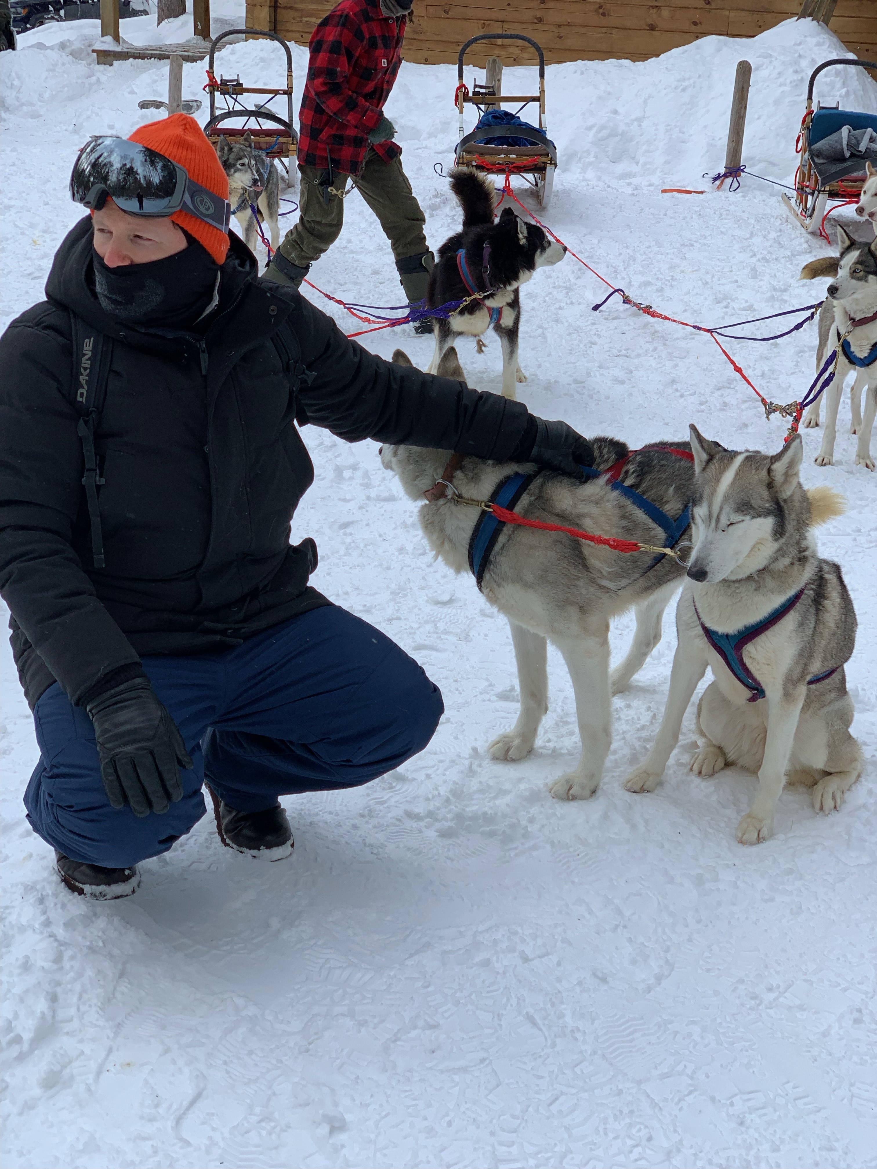 Kanada wie man es sich vorstellt, mit Schlittenhunden und viel Schnee