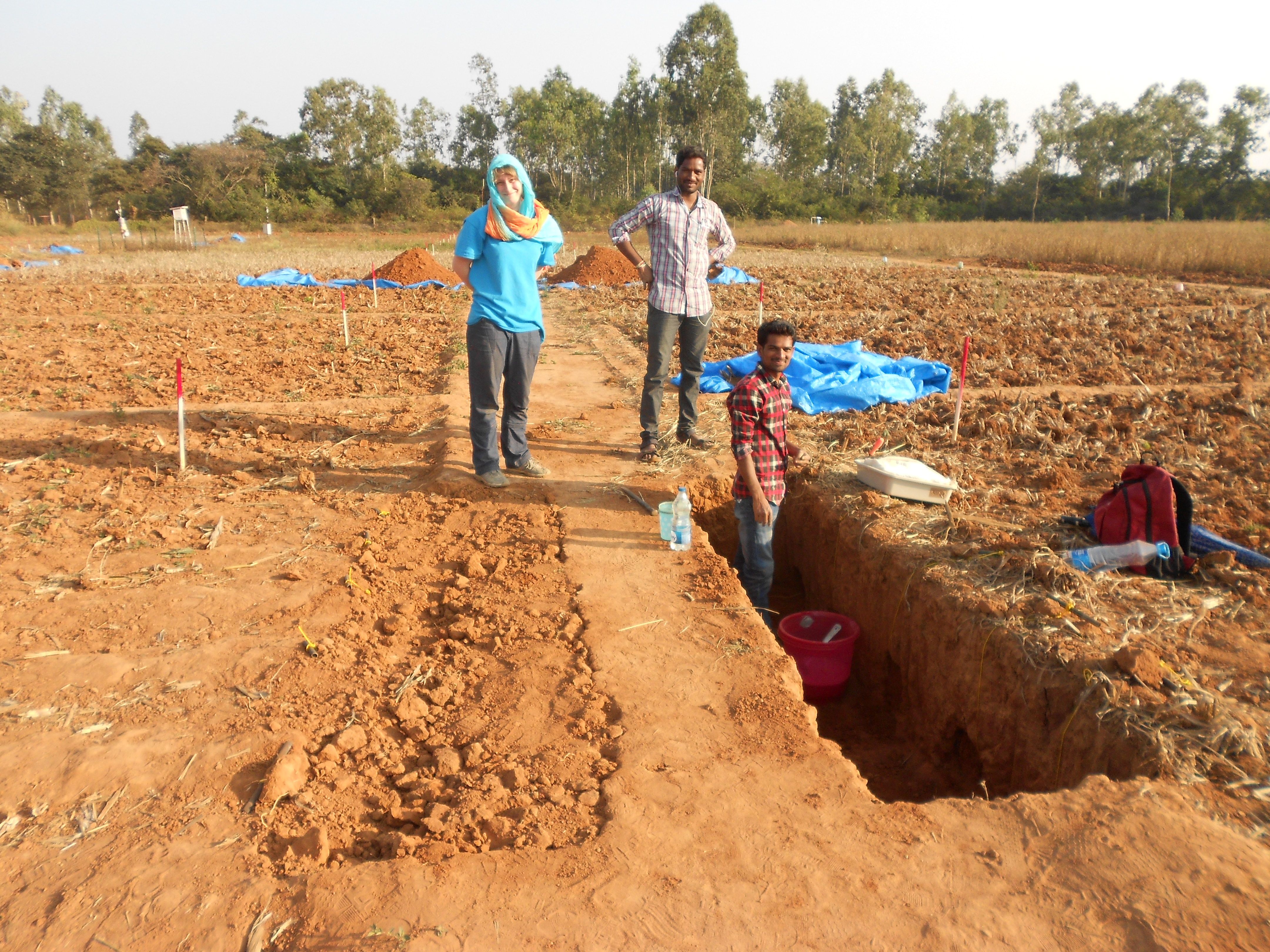 Field preparations in the Irrigated Experiment. Left: Installation of underground resin cartridges to measure leaching losses of nutrients. Persons from left to right: Research technician Andrea Mock, field assistants Rajanna and Shantayyah.