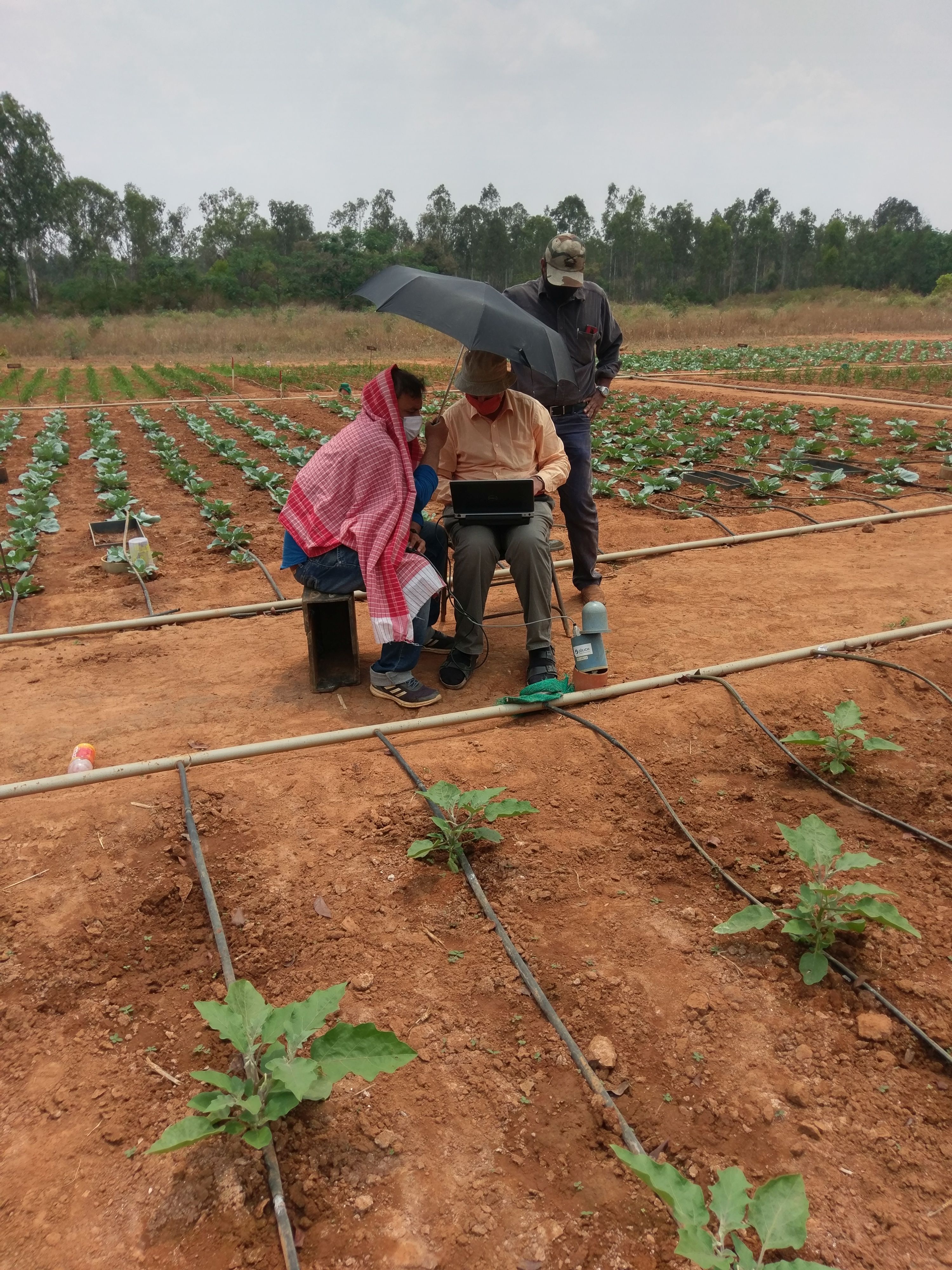 Battery change in Soilnet data loggers during Rabi season. Doctoral researcher Suman Sourav, Prof. A. Bürkert, RUC Director Dr. Prem Vazhacharickal