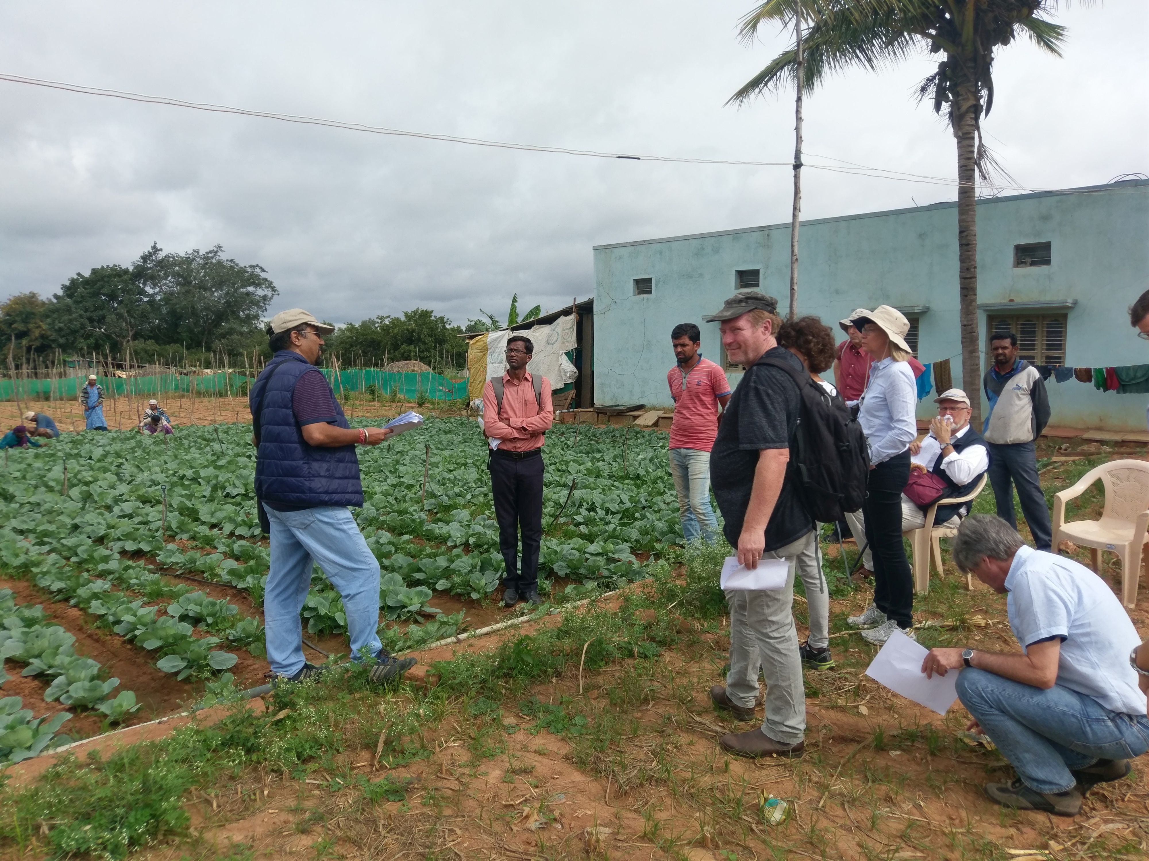 Visit to a farmer in Gandarajapura in the course of the intermediate evaluation of FOR2432 in August 2018. Prof. Sunil Nautiyal (left) explains farmers’ management practices to the group of evaluators: Prof. G. Guggenberger, Prof. C.C. Schön, Prof. M. Kirk, Prof. M. Becker; farmers and fieldworkers in the background.