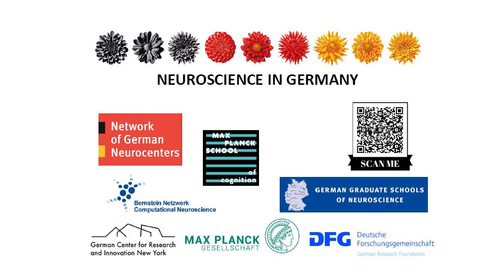 Partner am Neuroscience in Germany-Stand