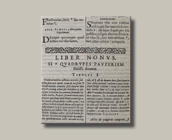 Cover Image Of Poster: Rabbinic Civil Law in the Context of Ancient Legal History - A Legal Compendium to the Bavot Tractates of the Talmud Yerushalmi