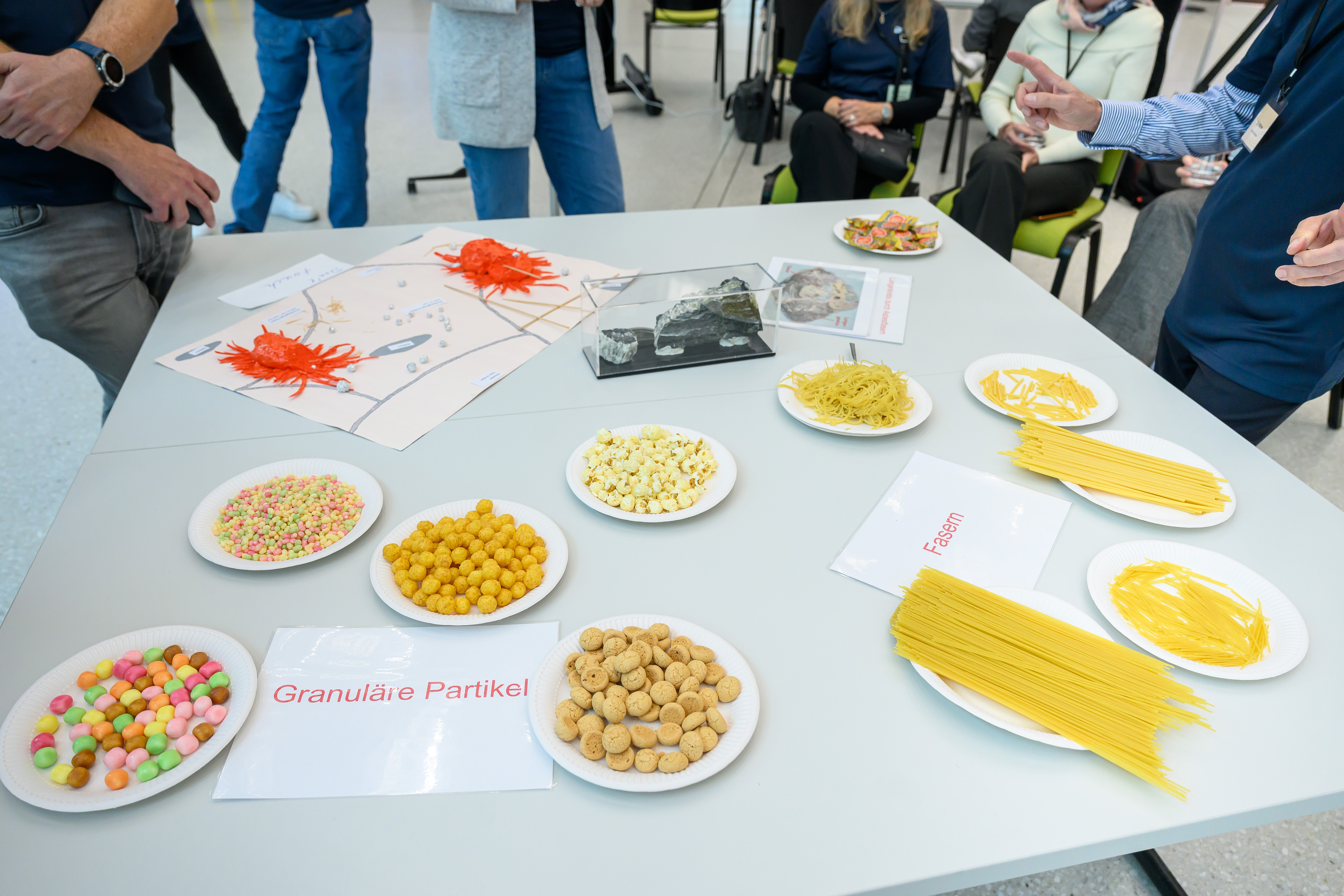 Auf einem Tisch stehen teller mit verschiedenen Lebensmittel, die illustrieren, welche Rolle die Form bei der Wirkung von Stäuben spielt.