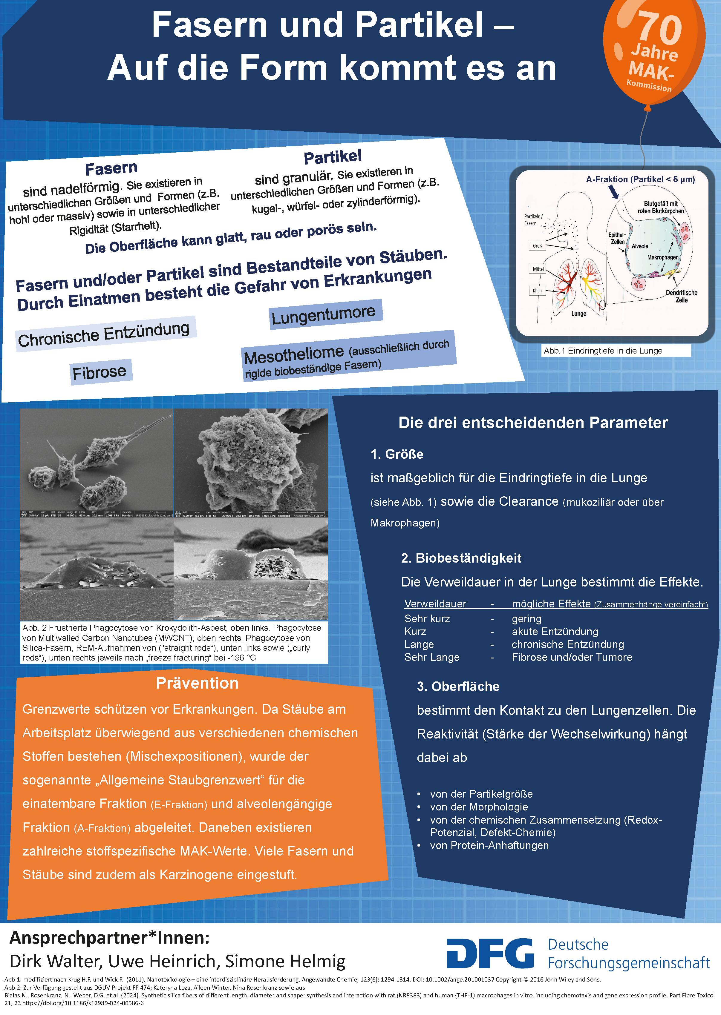 Poster Fasern und Partikel final