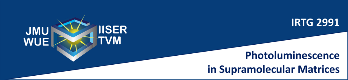 Banner picture of the International Research Training Group 2991