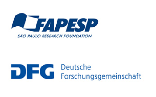 FAPESPDFG