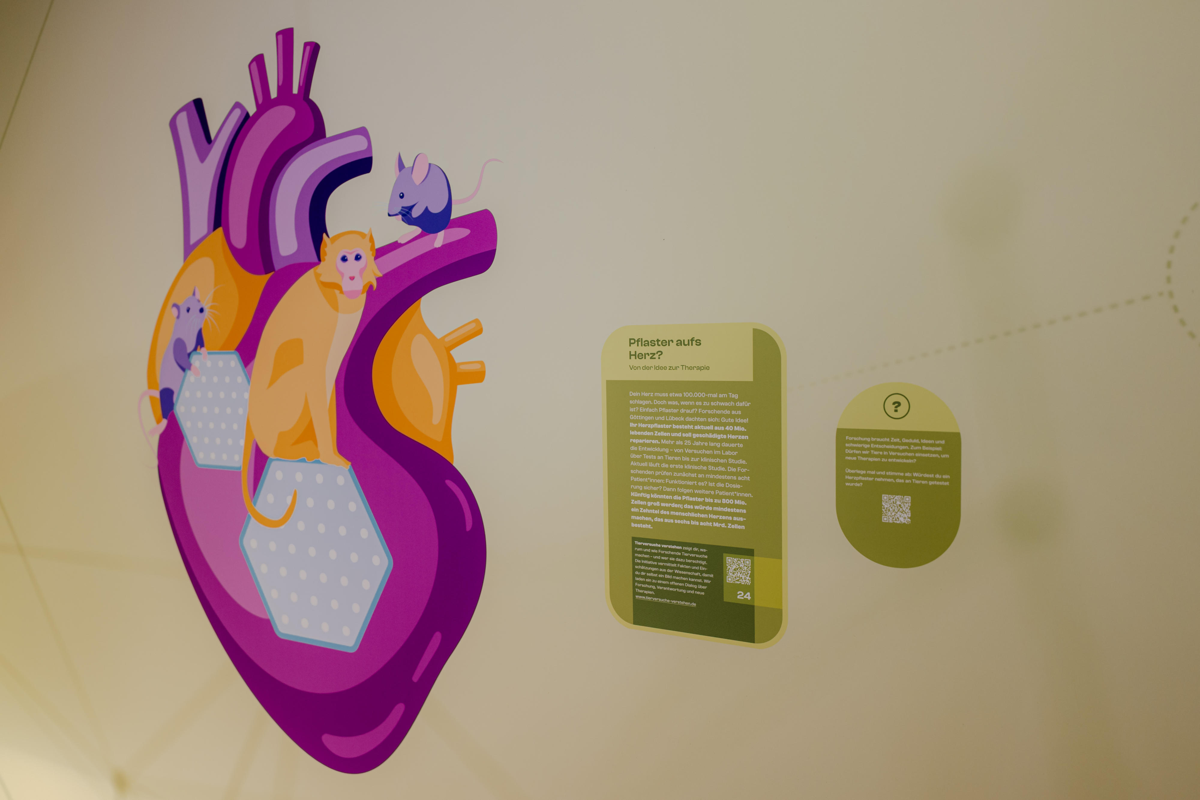 Ausstellungstisch mit digitalem Touchpad, Grafiken und Kopfhörern. Im Hintergrund ist eine Illustration eines Herzens mit verschiedenen Tieren darauf abgebildet.