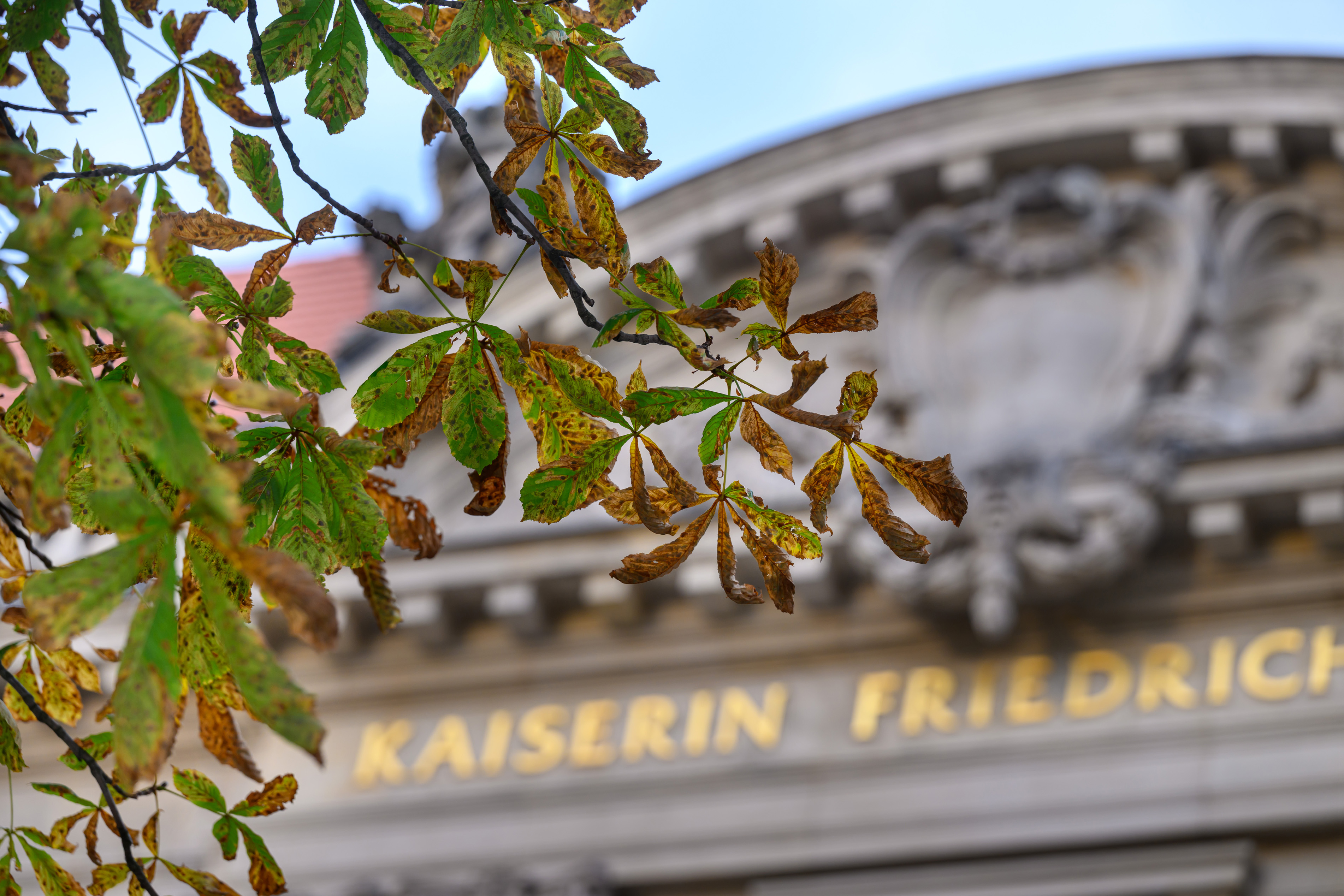 Ansicht des Kaiserin-Friedrich-Hauses in Berlin mit Herbstlaub im Vordergrund